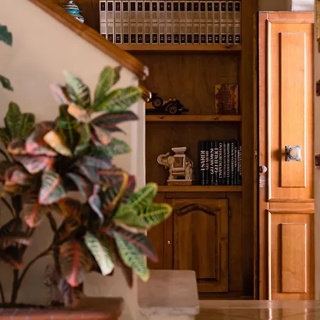 Domus Aenaria Villa *